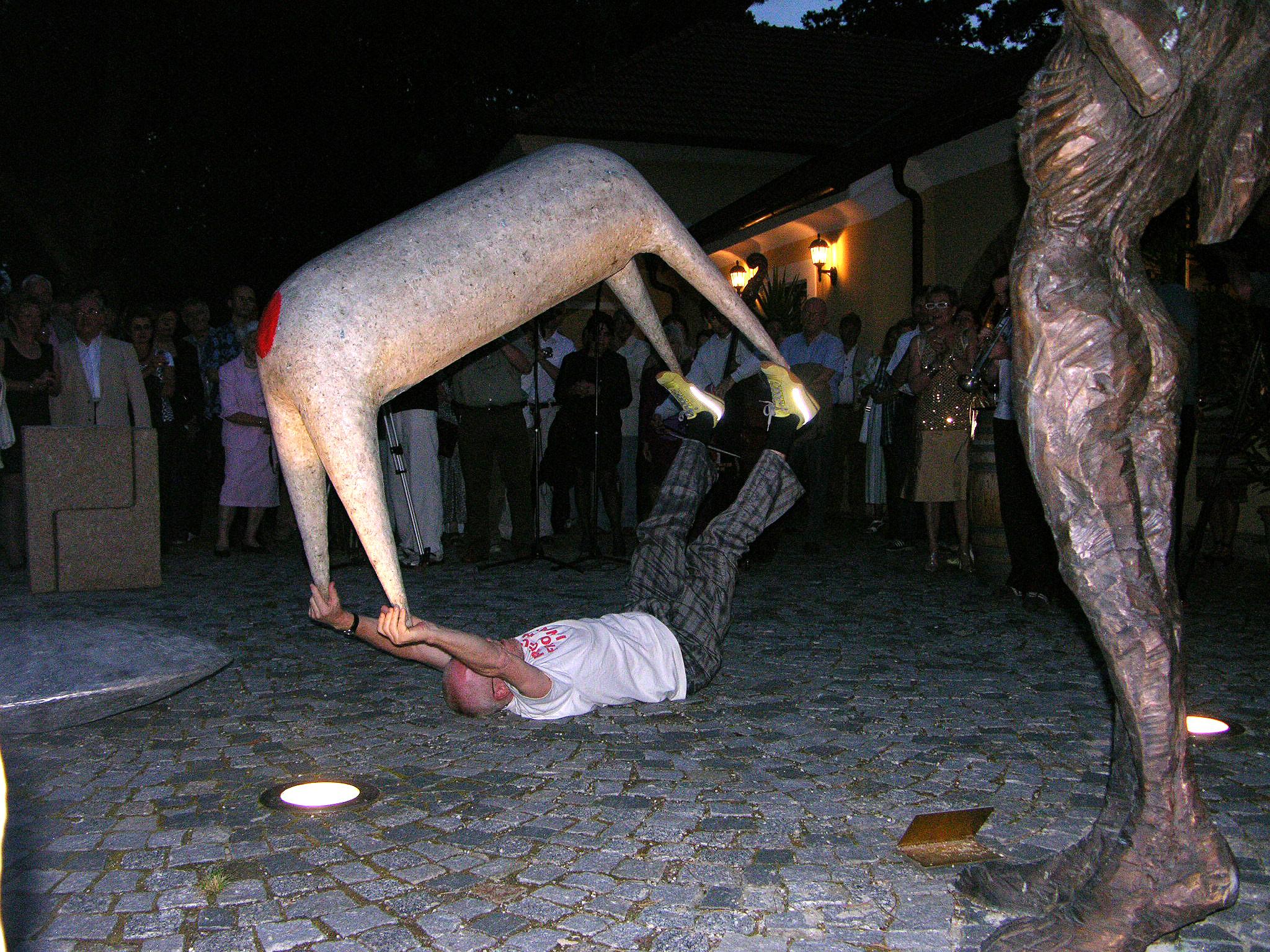 Tone Fink, Halbturn, 2005